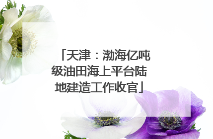 天津：渤海亿吨级油田海上平台陆地建造工作收官