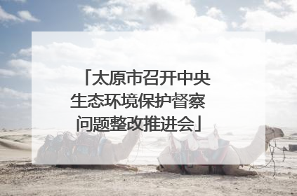 太原市召开中央生态环境保护督察问题整改推进会