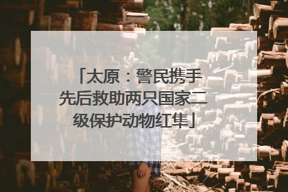 太原：警民携手 先后救助两只国家二级保护动物红隼