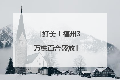 好美！福州3万株百合盛放