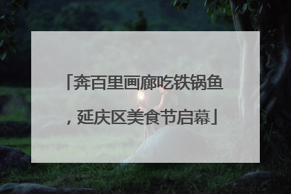 奔百里画廊吃铁锅鱼，延庆区美食节启幕