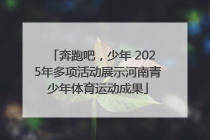 奔跑吧，少年 2025年多项活动展示河南青少年体育运动成果