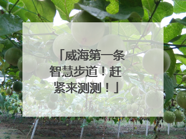 威海第一条智慧步道！赶紧来测测！