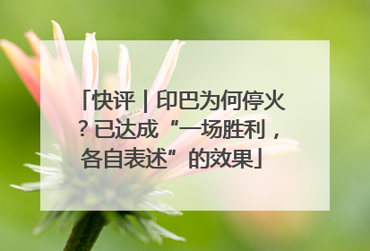 快评|印巴为何停火?已达成“一场胜利,各自表述”的效果