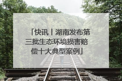 快讯丨湖南发布第三批生态环境损害赔偿十大典型案例