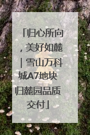 归心所向，美好如麓｜雪山万科城A7地块归麓园品质交付