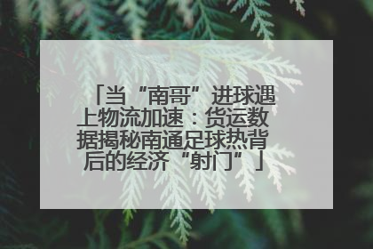 当“南哥”进球遇上物流加速：货运数据揭秘南通足球热背后的经济“射门”