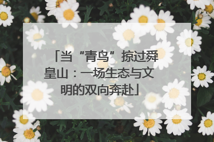 当“青鸟”掠过舜皇山：一场生态与文明的双向奔赴