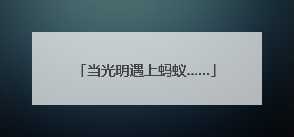 当光明遇上蚂蚁……