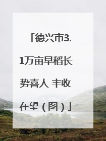 德兴市3.1万亩早稻长势喜人 丰收在望（图）