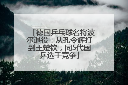 德国乒乓球名将波尔退役：从孔令辉打到王楚钦，同5代国乒选手竞争