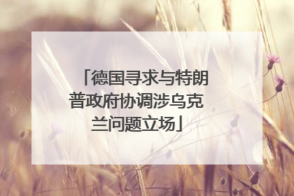 德国寻求与特朗普政府协调涉乌克兰问题立场