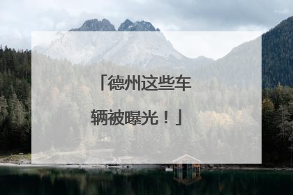 德州这些车辆被曝光！