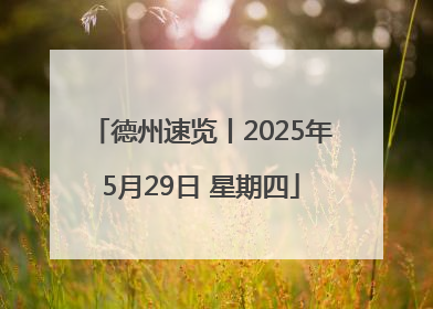 德州速览丨2025年5月29日 星期四