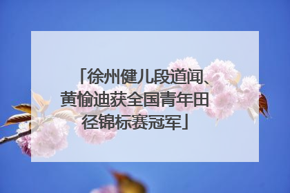 徐州健儿段道闻、黄愉迪获全国青年田径锦标赛冠军
