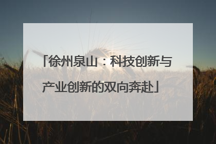 徐州泉山：科技创新与产业创新的双向奔赴