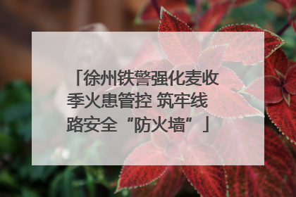 徐州铁警强化麦收季火患管控 筑牢线路安全“防火墙”