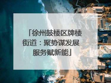 徐州鼓楼区牌楼街道：聚势谋发展 服务赋新能