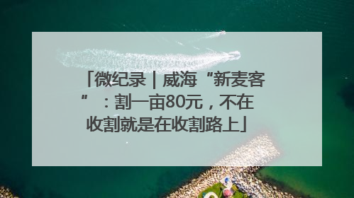 微纪录｜威海“新麦客”：割一亩80元，不在收割就是在收割路上