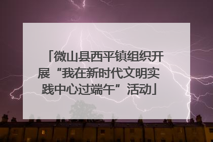 微山县西平镇组织开展“我在新时代文明实践中心过端午”活动