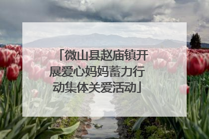 微山县赵庙镇开展爱心妈妈蓄力行动集体关爱活动