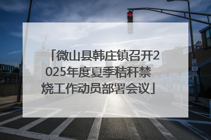 微山县韩庄镇召开2025年度夏季秸秆禁烧工作动员部署会议