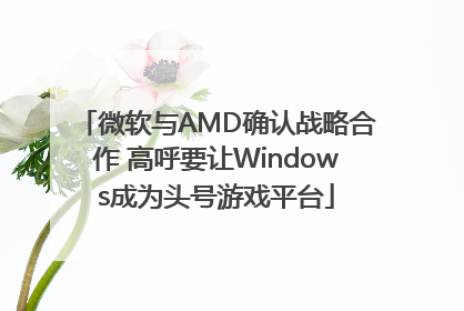 微软与AMD确认战略合作 高呼要让Windows成为头号游戏平台