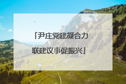 尹庄党建凝合力 联建议事促振兴