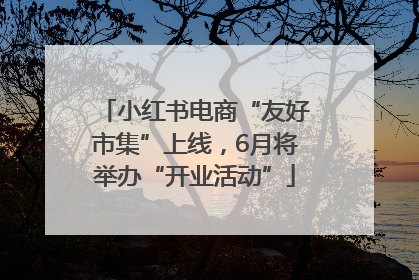 小红书电商“友好市集”上线，6月将举办“开业活动”