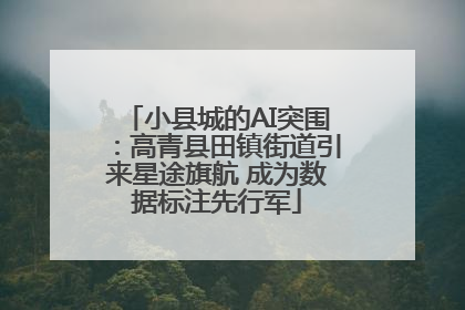 小县城的AI突围：高青县田镇街道引来星途旗航 成为数据标注先行军