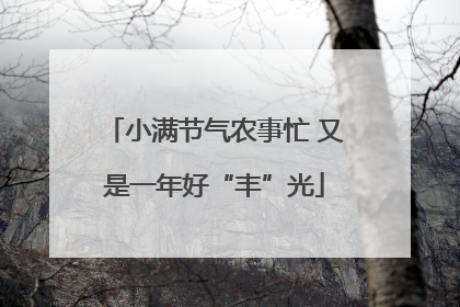 小满节气农事忙 又是一年好“丰”光
