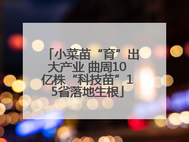 小菜苗“育”出大产业 曲周10亿株“科技苗”15省落地生根
