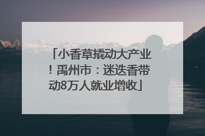 小香草撬动大产业！禹州市：迷迭香带动8万人就业增收