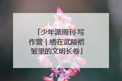 少年派周刊·写作营｜绣在武陵褶皱里的文明长卷