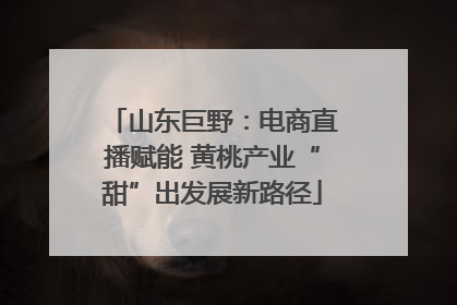 山东巨野：电商直播赋能 黄桃产业“甜”出发展新路径