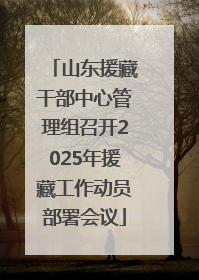 山东援藏干部中心管理组召开2025年援藏工作动员部署会议