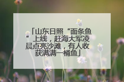 山东日照“面条鱼”上线，赶海大军凌晨点亮沙滩，有人收获满满一桶鱼