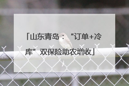 山东青岛：“订单+冷库”双保险助农增收