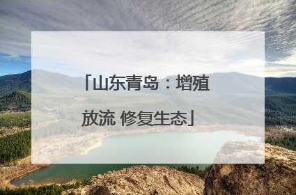 山东青岛：增殖放流 修复生态
