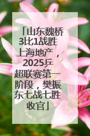 山东魏桥3比1战胜上海地产，2025乒超联赛第一阶段，樊振东七战七胜收官