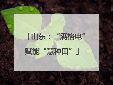 山东：“满格电”赋能“慧种田”