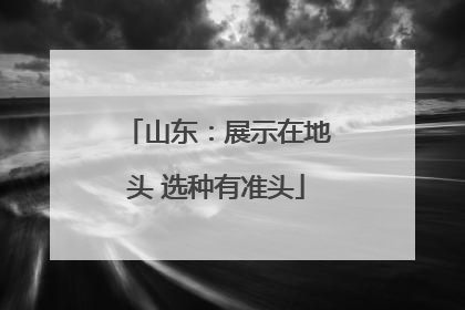 山东：展示在地头 选种有准头