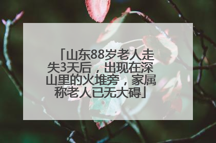 山东88岁老人走失3天后，出现在深山里的火堆旁，家属称老人已无大碍