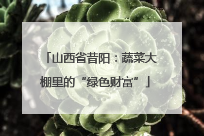 山西省昔阳：蔬菜大棚里的“绿色财富”