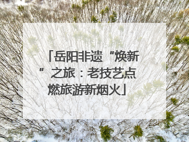 岳阳非遗“焕新”之旅：老技艺点燃旅游新烟火