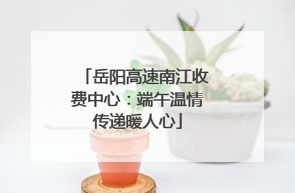 岳阳高速南江收费中心：端午温情传递暖人心