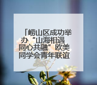 崂山区成功举办“山海相遇 同心共融”欧美同学会青年联谊活动