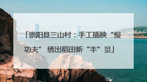 崇阳县三山村：手工插秧“慢功夫” 绣出稻田新“丰”景