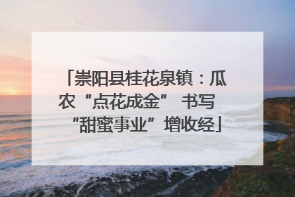 崇阳县桂花泉镇：瓜农“点花成金” 书写“甜蜜事业”增收经