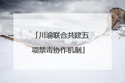 川渝联合共建五项禁毒协作机制